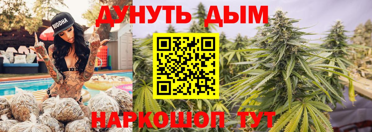 Тулун  Бошки Шишки Amnesia  Каннабис планчик  Конопля LSD WEED  Вход с VPN 